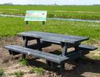 Picknickbank Hollandse Kade