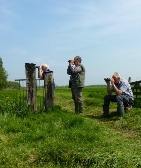 Weidevogel vrijwilligers